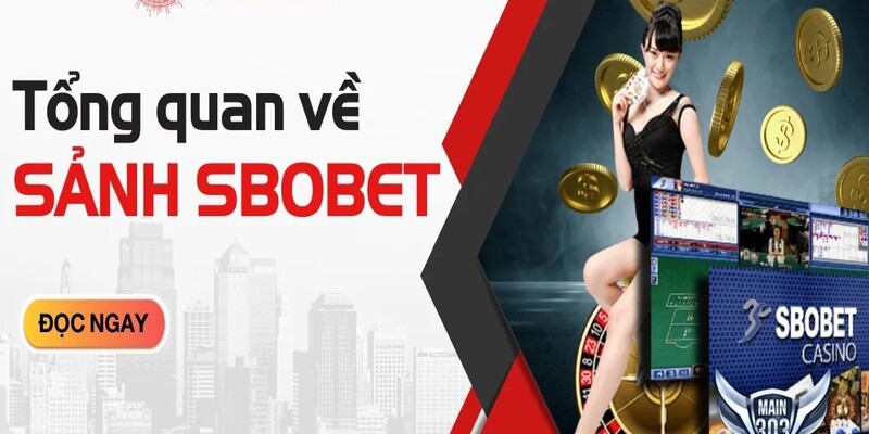 Sbobet Suncity là gì ?